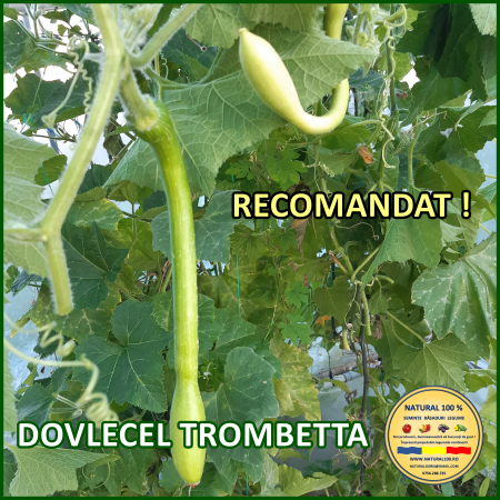 DOVLECEL TROMBETTA www.natural100.ro [0]