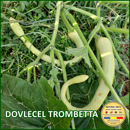 DOVLECEL TROMBETTA www.natural100.ro [2]