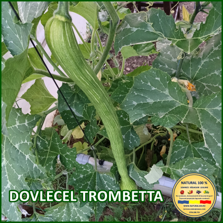 DOVLECEL TROMBETTA www.natural100.ro [3]