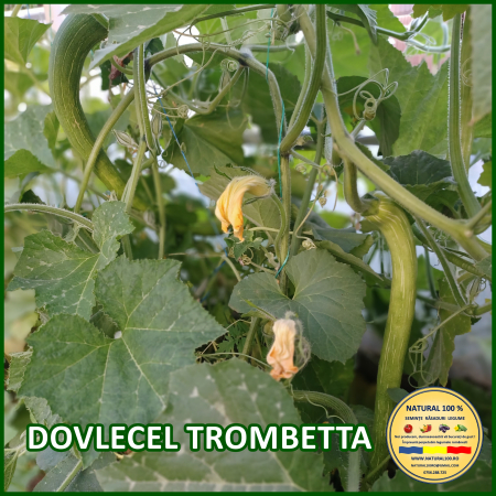 DOVLECEL TROMBETTA www.natural100.ro [1]