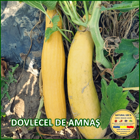 Vezi toate produsele - DOVLECEL DE AMNAS www.natural100.ro