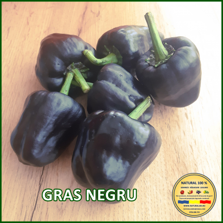 ARDEI GRAS NEGRU www.natural100.ro [2]