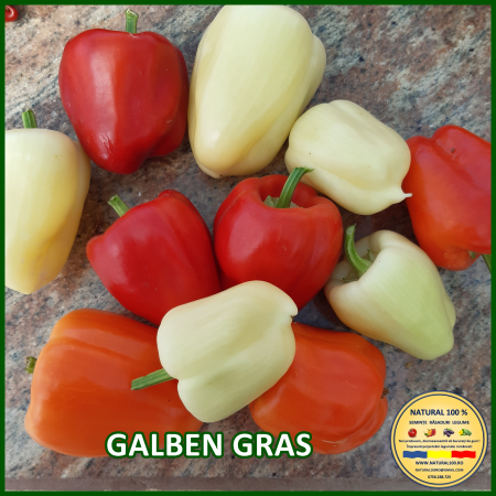 ARDEI GALBEN GRAS www.natural100.ro [1]