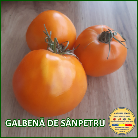 ROSII GALBENA DE SANPETRU www.natural100.ro [2]