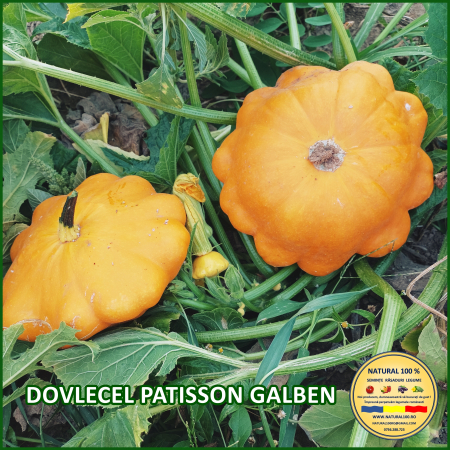 Vezi toate produsele - DOVLECEL PATISSON GALBEN www.natural100.ro