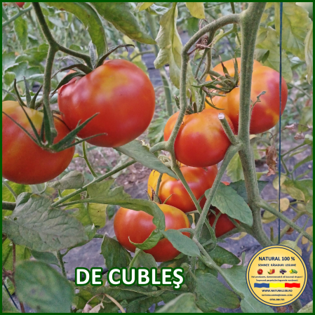 Toate soiurile de rosii - ROSII DE CUBLES www.natural100.ro