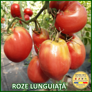 Rosii mari (peste 200 g) - ROSII ROZE LUNGUIATA www.natural100.ro