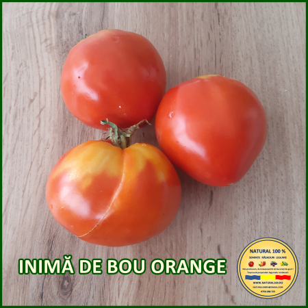 ROSII INIMA DE BOU ORANGE www.natural100.ro [2]