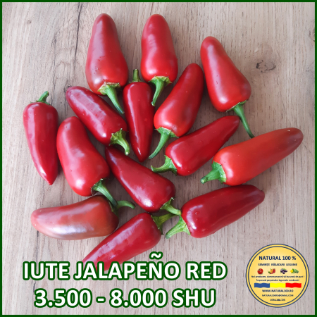 ARDEI IUTE JALAPEÑO RED www.natural100.ro [2]