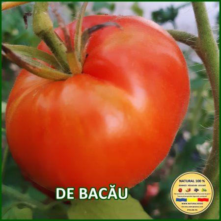 Toate soiurile de rosii - ROSII DE BACAU www.natural100.ro