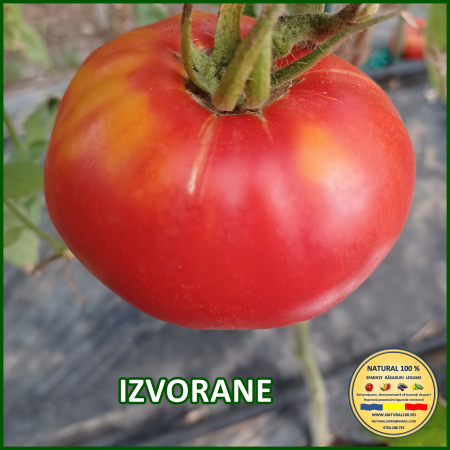 Toate soiurile de rosii - ROSII IZVORANE www.natural100.ro