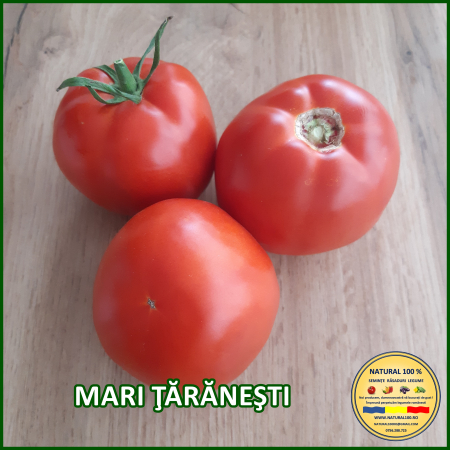 ROSII MARI TARANESTI www.natural100.ro [2]