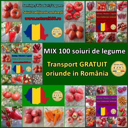 Seminte de dovlecei - MIX 100 SOIURI DE LEGUME www.natural100.ro