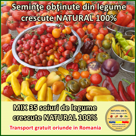 MIX 35 soiuri de legume crescute NATURAL 100% (transport gratuit oriunde in Romania)