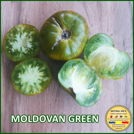 MOLDOVAN GREEN [1]