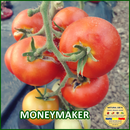 ROSII MONEYMAKER www.natural100.ro [2]