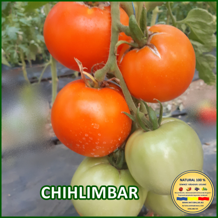 Rosii medii (75-200 g) - ROSII CHIHLIMBAR www.natural100.ro