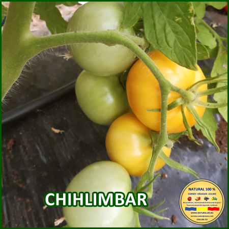 ROSII CHIHLIMBAR www.natural100.ro [1]