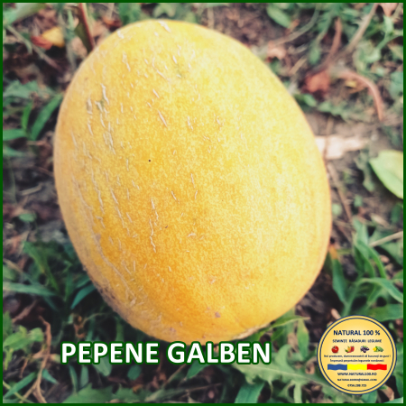 ALTE SEMINTE - PEPENE GALBEN www.natural100.ro
