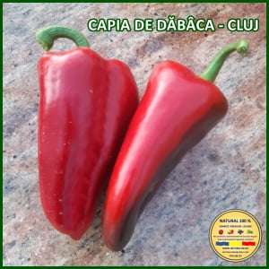 Ardei capia / kapia - ARDEI CAPIA DE DABACA - CLUJ www.natural100.ro