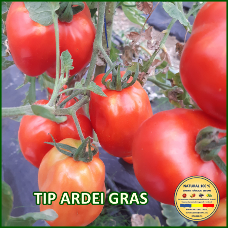 ROSII TIP ARDEI GRAS www.natural100.ro [1]