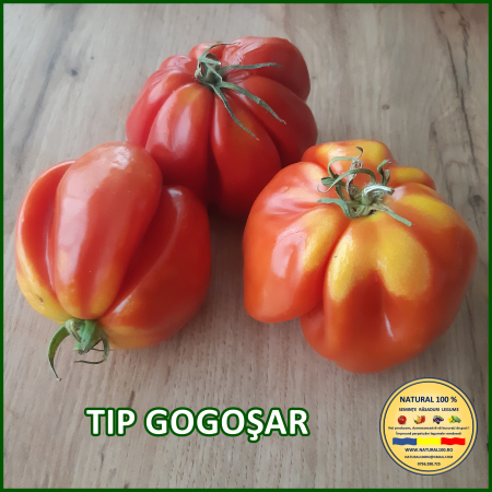 ROSII TIP GOGOSAR www.natural100.ro [2]