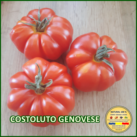 ROSII COSTOLUTO GENOVESE www.natural100.ro [2]