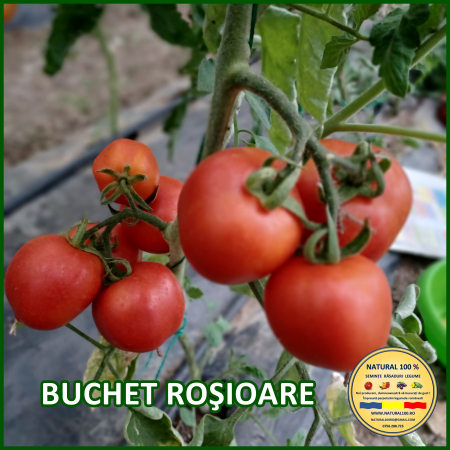 Rosii cherry / mici (5-70 g) - ROSII BUCHET ROSIOARE www.natural100.ro