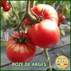 Rosii mari (peste 200 g) - ROSII ROZE DE ARGES www.natural100.ro