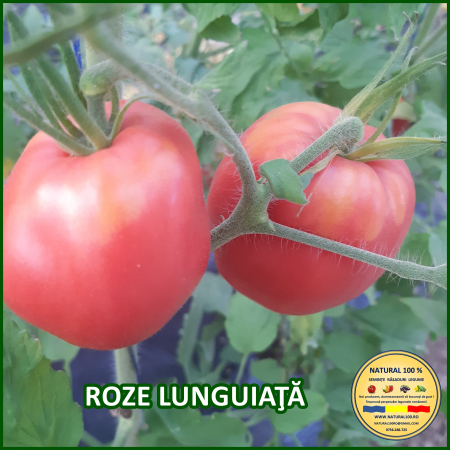ROSII ROZE LUNGUIATA www.natural100.ro [2]