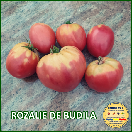 Toate soiurile de rosii - ROSII ROZALIE DE BUDILA www.natural100.ro