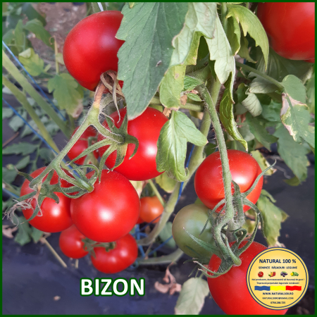 ROSII BIZON www.natural100.ro [1]