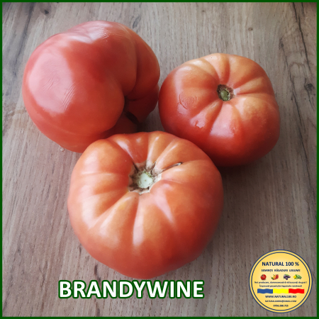 ROSII BRANDYWINE www.natural100.ro [2]
