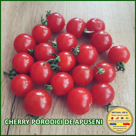 ROSII CHERRY PORODICI DE APUSENI www.natural100.ro [2]