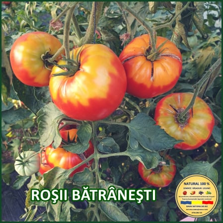 Toate soiurile de rosii - ROSII BATRANESTI www.natural100.ro