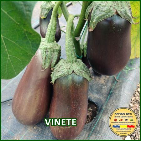 VINETE PANA CORBULUI www.natural100.ro