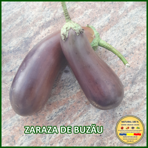 VINETE ZARAZA DE BUZAU www.natural100.ro