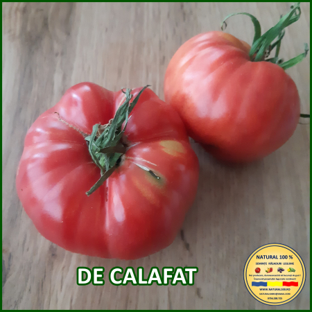 ROSII DE CALAFAT www.natural100.ro [2]