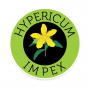 Hypericum Plant