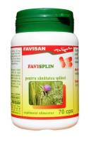 Suplimente - favisplin