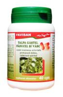 Suplimente - talpa_gastei,paducel,vasc