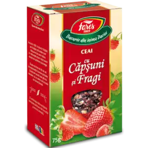 Ceaiuri - Ceai cu căpșuni și fragi, la pungă