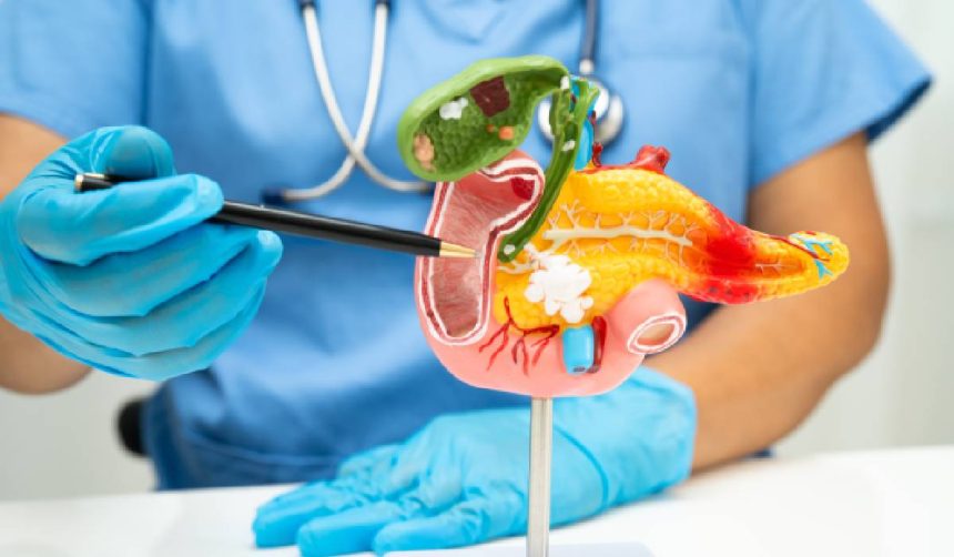 Aceeași mâncare, efecte variate zi de zi: explicația din organism