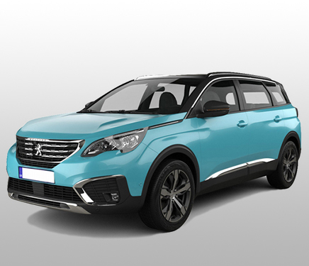 3008 si 5008  (2009 - 2018)