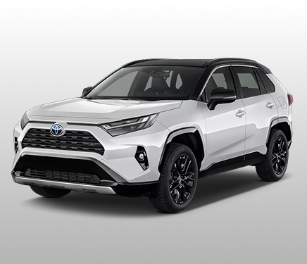 Rav 4 (2018 - 2022)