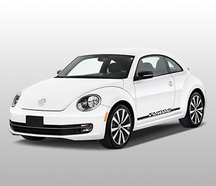 Beetle