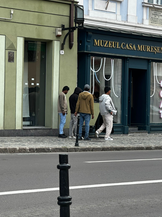 Panou Instagram Personalizat pentru Promovare și Urmăritori Organici [3]