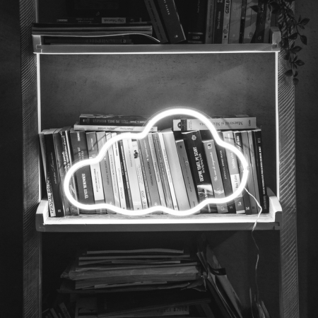 Semn led neon model Nor 45cm x 27cm [2]