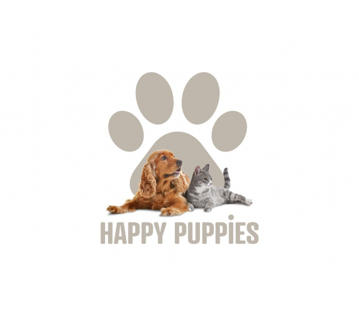 Castron inteligent cu cantar pentru hrana animalelor de companie din otel inoxidabil – Girmi AD010 [5]