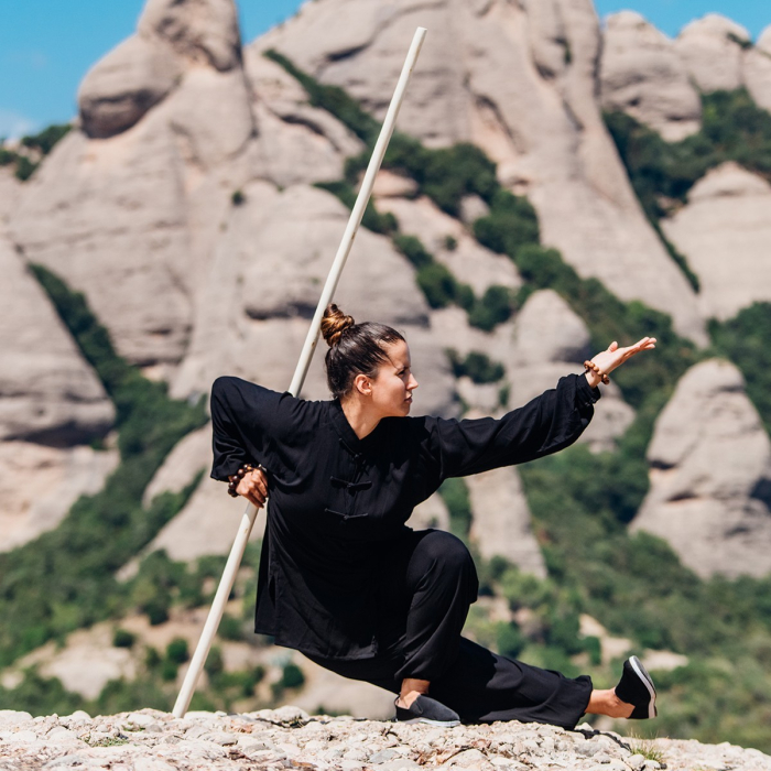 Baston WU SHU [6]